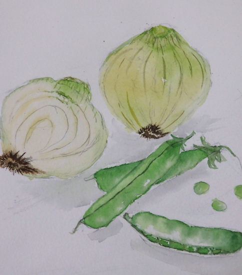 野菜を描く