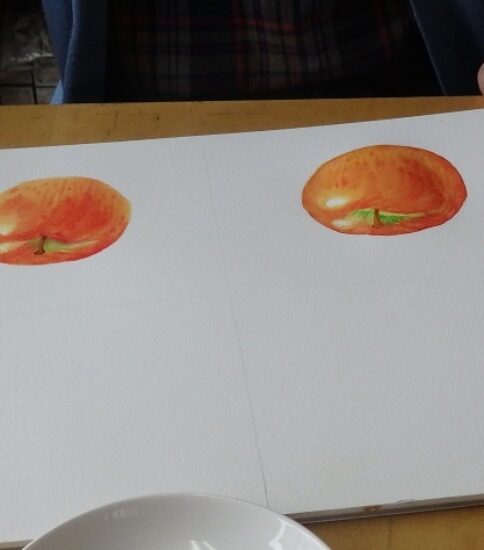 リンゴを描く